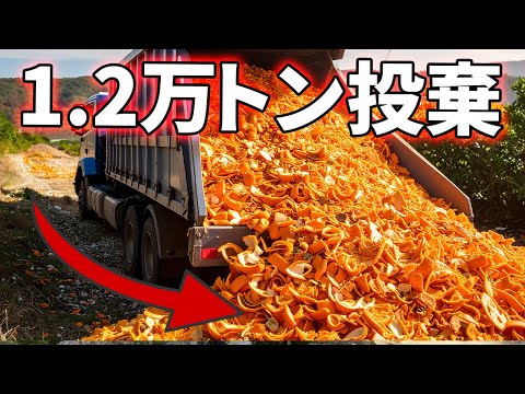 1.2万トンのオレンジの皮を国立公園に捨てた衝撃の結果！！ 【解説動画】
