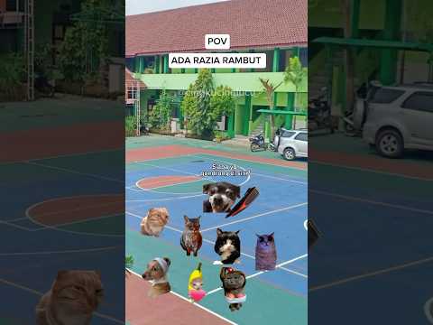 Woy endingnya ๐ญ๐ญ๐ #kucing #kucinglucu #meme #memekucing #cingkucinglucu #pov #shortvideo #short