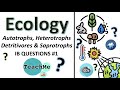Euglena and Venus Flytrap Nutrition