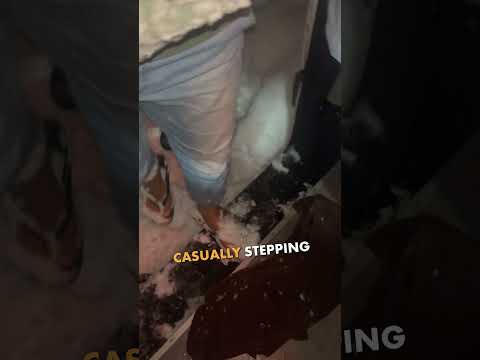 Everyone’s freezing, and he shows up like this 😳❄️