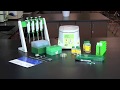 Mini Prep Process for Plasmid DNA