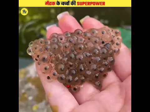 Baby Frog's Unique Defence System #shorts