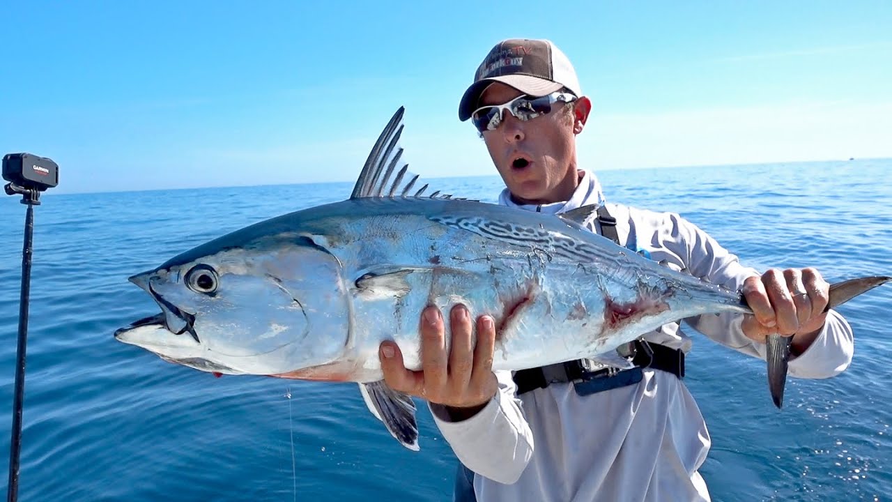Most Epic Bonito Blitz Ever ft. LakeForkGuy