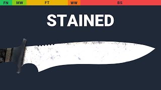 Classic Knife Stained Wear Preview