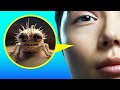 Exploring the Microscopic World