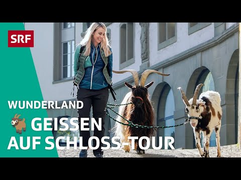 Königliche Übernachtung im Schloss | Wunderland Geissentour Reloaded 2/4 – SRF bi de Lüt | SRF