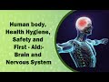 Nervous System Concepts and Functions