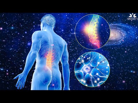 Scientists Cannot Explain Why This Audio HEALS The Whole Internal Organ! | 432Hz- Alpha Waves #2