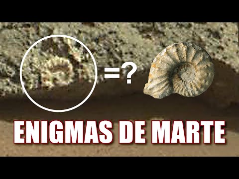 ENIGMAS DE MARTE