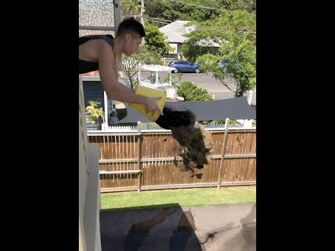 WORST SON EVER!?!?!