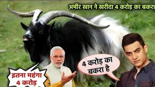 Amir Khan Ne खरीदा 4 करोड़ का बकरा आमिर खान ने Kharida 4 Crod ka Bakra Eid 2025