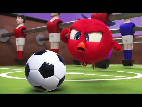 Poyo, o jogador de futebol | Onde está Chicky? | Pintinha amarelinho | Desenhos animados Infantil HD