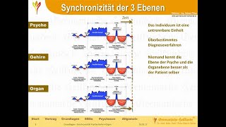 Synchronizitaet Psyche Gehirn Organ / HelmutPilharGHk