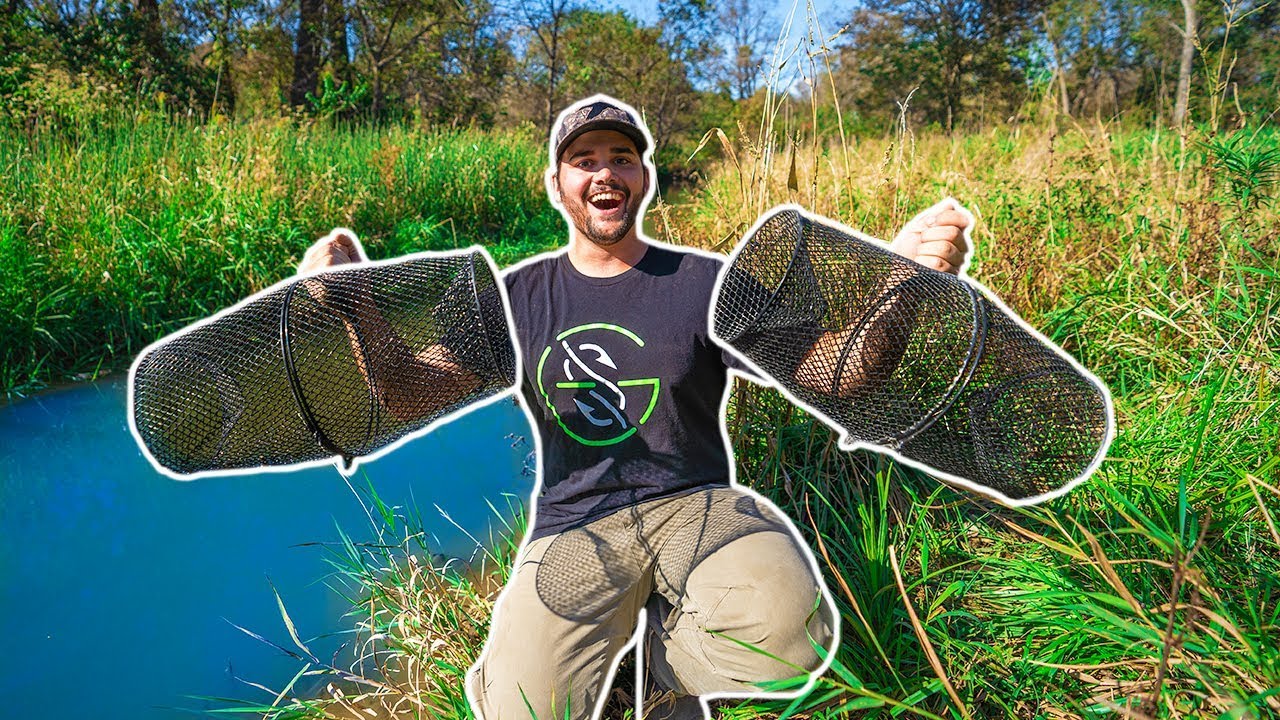 Trapping CRAWFISH in My BACKYARD CREEK