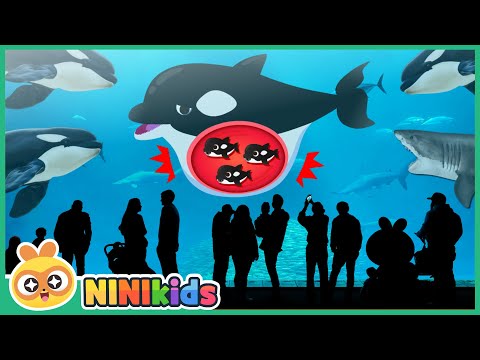 What kind of fish is a killer whale? | Shadow Animal Play | Shark? Orca? | Sea Animals | NINIkids