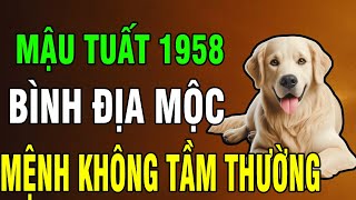 9 Bí Ẩn Tuổi Mậu Tuất 1958: Gieo Nhân Thiện Cả Đời – Hậu Vận Được Trời Đãi, Bỏ Qua Là Mất Phúc!