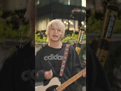 「本音」の好きな歌詞教えてください🍂 #ヤングスキニー #本音