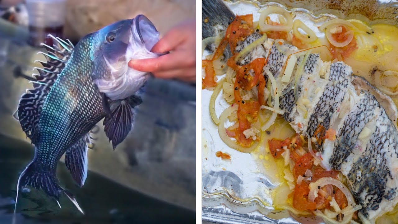 Catch & Cook: Black Sea Bass 2 Ways Field Trips Rhode Island