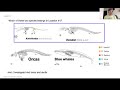 Evolutionary Relationships and Key Concepts