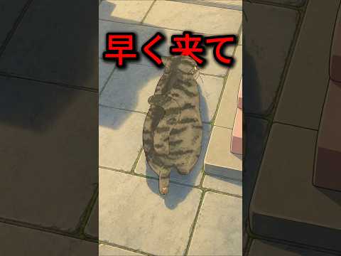 ツンとしてた猫…結局こうなるw