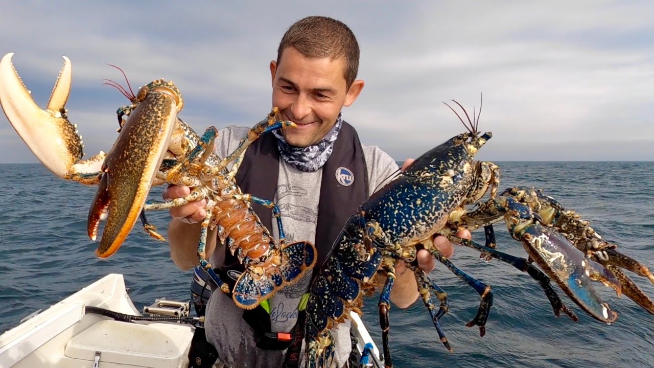 MONSTER LOBSTERS - Catching 2 of the biggest Lobsters I have ever seen! - The Fish Locker