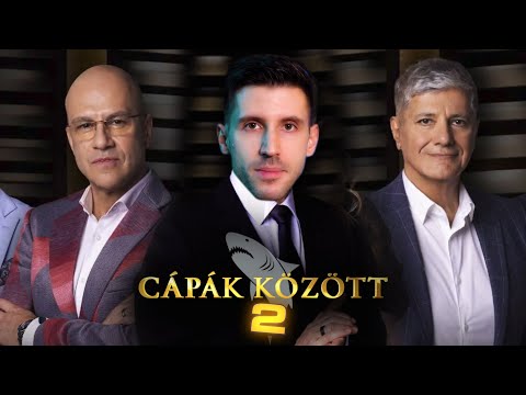 VÉRESEN szeretik a milliókat a CÁPÁK 🩸🥩🦈 Cápák között 2025 #2