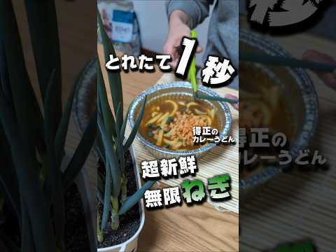テーブルに畑を作ります