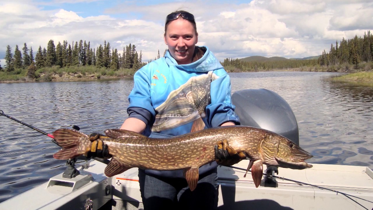 Dalton Trail Lodge - Yukon - The New Fly Fisher