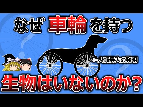 【ゆっくり解説】なぜ人類最大の発明である「車輪」を生物は採用しないのか