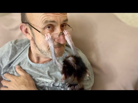 Степашка требует от Влада ВНИМАНИЯ и ЛЮБВИ, а Влад сидит в интернете