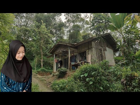 Lagi Viral Di Garut.. Pasangan Muda Mudi Nekad Buka Warung 24 Jam Sendirian Di Hutan Angker