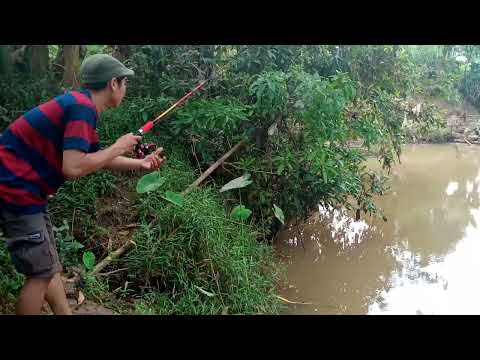 Begini kalau mancing di sarang buaya bikin tegang