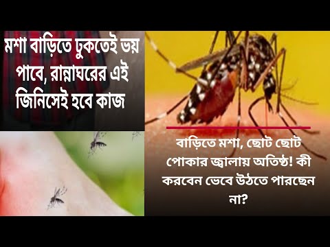 বাড়িতে মশার জ্বালায় অতিষ্ট ⁉️মশা বাড়িতে ঢুকতেই ভয় পাবে ‼️এই ঘরোয়া টোটকা শিখে নিন 💯Tips|| Hacks,#life