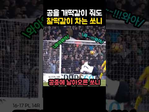 관중들이 기겁한 IQ200 손흥민
