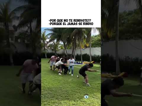 Como hizo