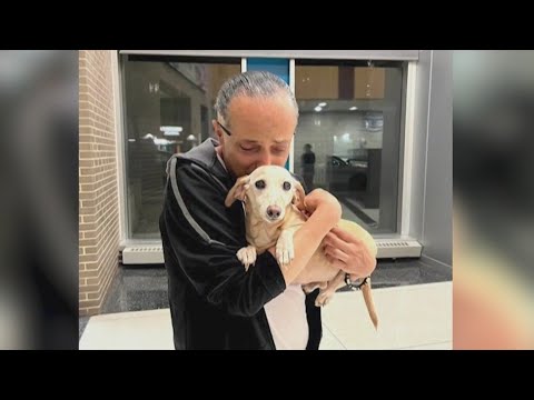YouTube video thumbnail: Service dog Returned to Legally Blind man in Chicago After 2-Month Absence