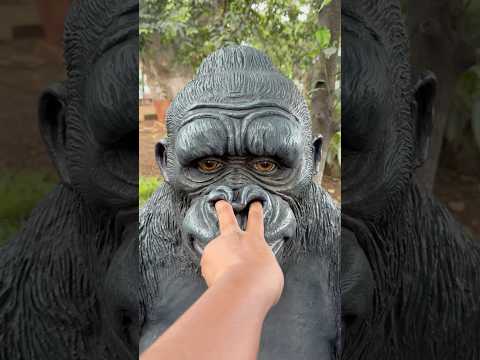 Gorilla 🦍 ne ungali naak me fasa diya 😱😂🤣#shorts