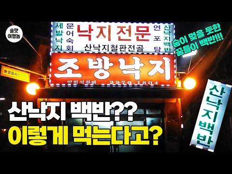 충격! 살다 살다 "산낙지 백반"은 첫경험! 근데 이렇게 먹는다고요?? 뭐야? 완전 소주 도둑!