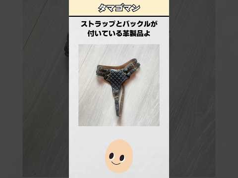 世界の「これ何？」43弾