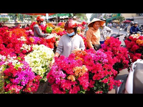 Ngạc nhiên chủ hoa giấy đại hạ giá rẻ bèo tặng miễn phí cho người mua