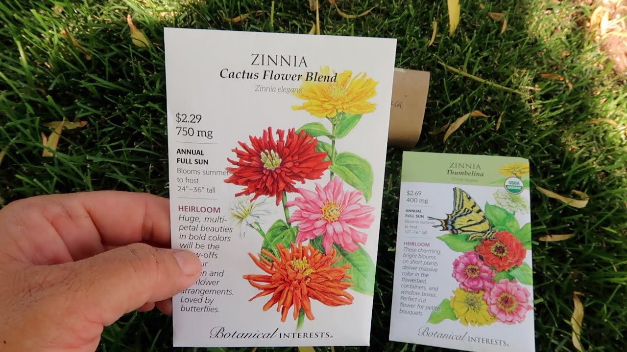Planting Zinnias, Troubleshooting Drip & Watering the Greenhouse!