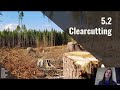 Ecological Impacts of Deforestation