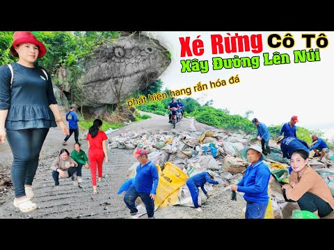 Xé rừng xây đường mới lên núi Cô Tô phát hiện hang rắn hóa đá khổng lồ