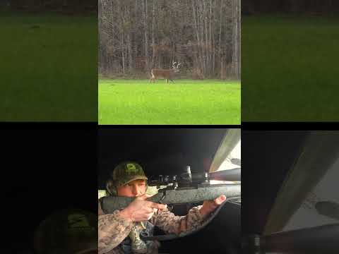 Great shot on a Mississippi Buck - #hunting #wildlife #whitetail #deer