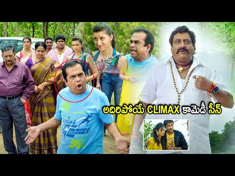 Brahmanandam & Gopichand Super Hit Movie Comedy Climax Scene | Telugu Movies | Cinema Chupistha