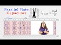 Capacitance and Dielectrics Concepts