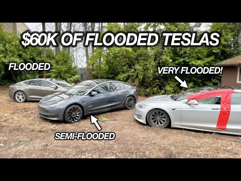 I Bought $60,000 In Flooded TESLAS at Auction. Let's Find Out If They Work!?