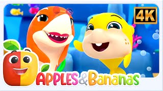 Baby shark Popular Sing along Nursery Rhyme for Kids