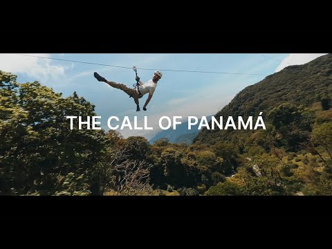 Follow the Call of the Untamed Rainforest