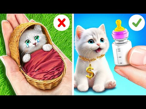 Never Lose Your Pet! 🙀 *Cool Crafts and Gadgets For Cat Lovers*